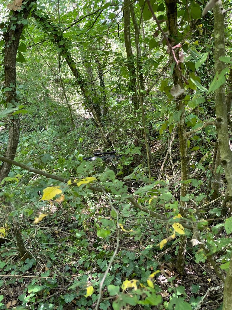 475593224-1128555558963827-2812726952108242675-n 475593224-1128555558963827-2812726952108242675-n